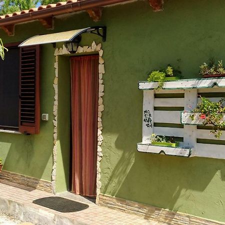 Appartamento Il Salice Casa Minnina Exteriör bild