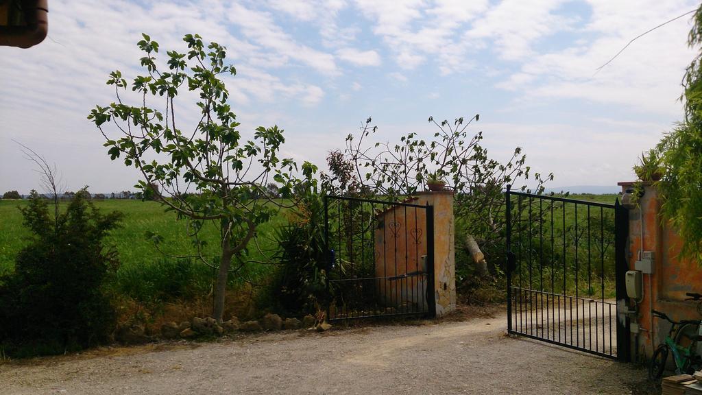 Appartamento Il Salice Casa Minnina Exteriör bild