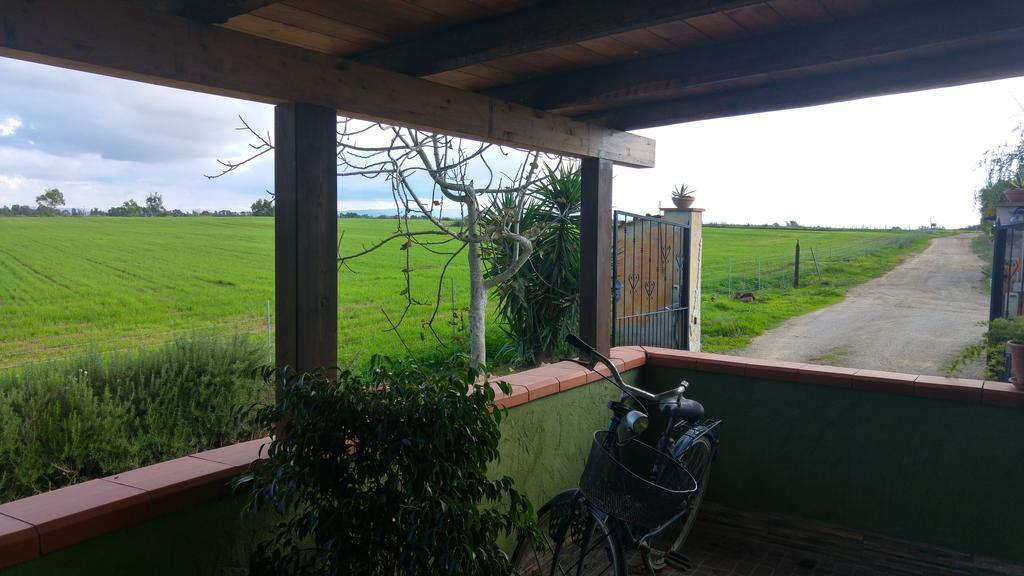 Appartamento Il Salice Casa Minnina Exteriör bild